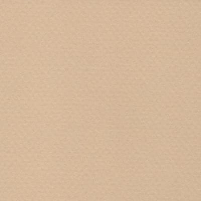 CARTULINA MI-TEINTES 160G (#340) CAÑAMO CLARO 50X60CM CANSON