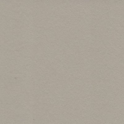 CARTULINA MI-TEINTES 160G (#343) GRIS TRIANÓN 50X60CM CANSON