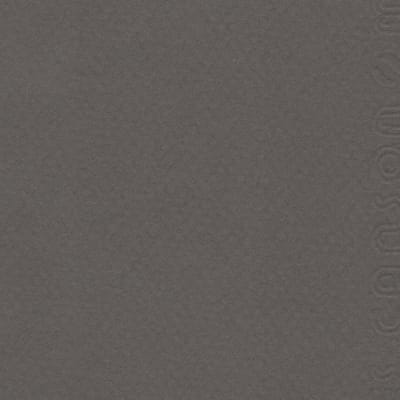 CARTULINA MI-TEINTES 160G (#345) GRIS PIZARRA 50X60CM CANSON