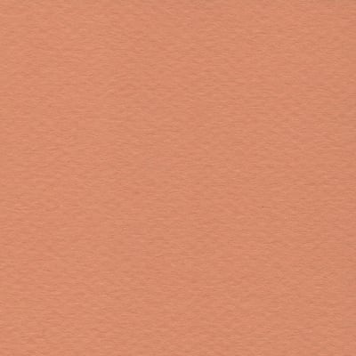 CARTULINA MI-TEINTES 160G (#384) SALMÓN 50X60CM CANSON