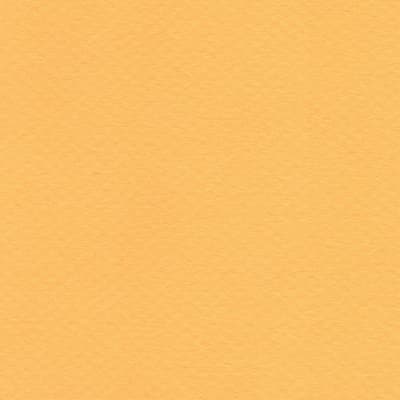CARTULINA MI-TEINTES 160G (#400) CANARIO 50X60CM CANSON
