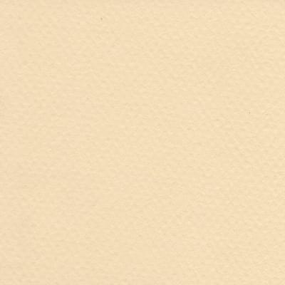 CARTULINA MI-TEINTES 160G (#407) LIQUEN 50X60CM CANSON