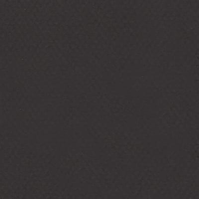 CARTULINA MI-TEINTES 160G (#425) NEGRO 50X60CM CANSON