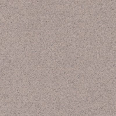 CARTULINA MI-TEINTES 160G (#426) GRIS CLARO 50X60CM CANSON