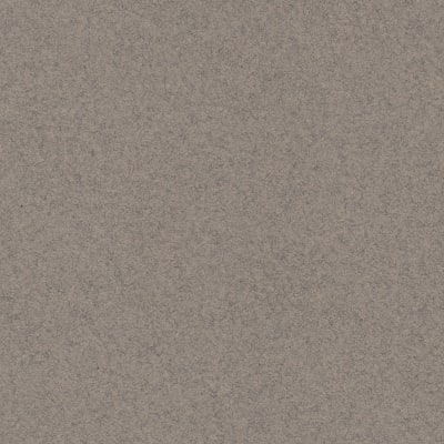 CARTULINA MI-TEINTES 160G (#429) GRIS HUMO 50X60CM CANSON
