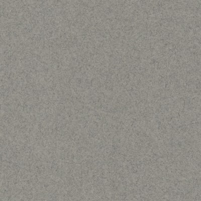 CARTULINA MI-TEINTES 160G (#431) GRIS ACERO 50X60CM CANSON