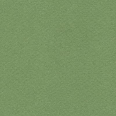 CARTULINA MI-TEINTES 160G (#475) VERDE MANZANA 50X60CM CANSON