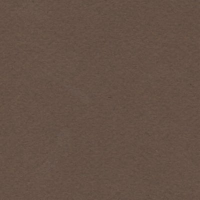 CARTULINA MI-TEINTES 160G (#501) CAFE OSCURO 50X60CM CANSON