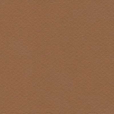 CARTULINA MI-TEINTES 160G (#502) TABACO CLARO 50X60CM CANSON