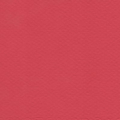CARTULINA MI-TEINTES 160G (#505) ROJO VIVO 50X60CM CANSON