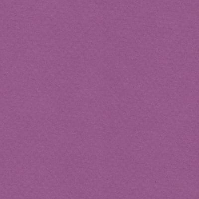 CARTULINA MI-TEINTES 160G (#507) VIOLETA 50X60CM CANSON
