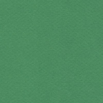 CARTULINA MI-TEINTES 160G (#575) VERDE BILLAR 50X60CM CANSON