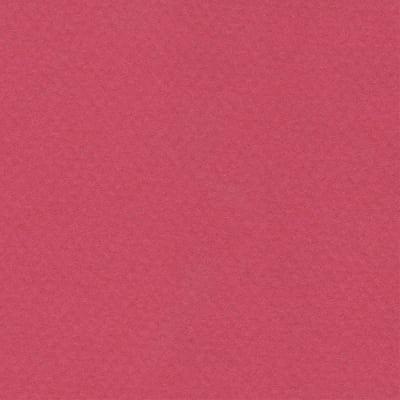 CARTULINA MI-TEINTES 160G (#114) FRAMBUESA 50X60CM CANSON