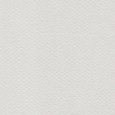 CARTULINA MI-TEINTES 160G (#120) GRIS PERLA 50X60CM CANSON