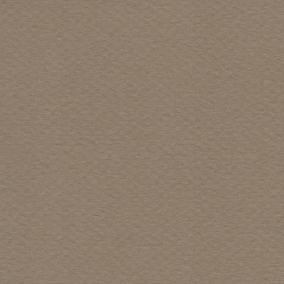 CARTULINA MI-TEINTES 160G (#336) CAUCHO 50X60CM CANSON