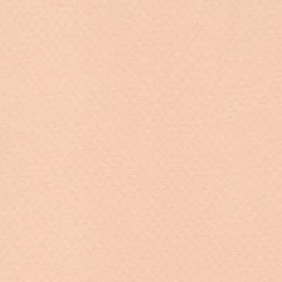 CARTULINA MI-TEINTES 160G (#350) ROSA MURALLA 50X60CM CANSON
