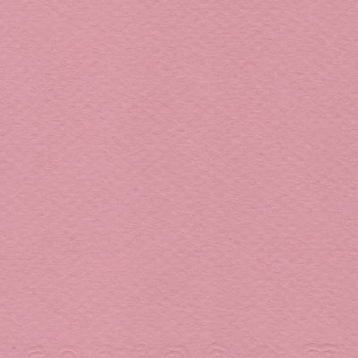 CARTULINA MI-TEINTES 160G (#352) ROSA OSCURO 50X60CM CANSON