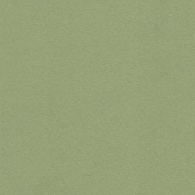 CARTULINA MI-TEINTES 160G (#480) VERDE ALMENDRA 50X60CM CANSON