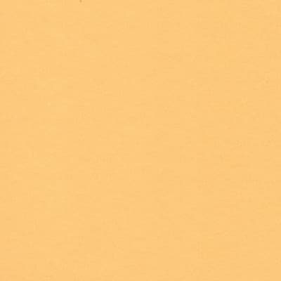 CARTULINA NETTUNO 50X65 140GRS Nº10 AMARILLO