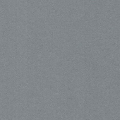 CARTULINA NETTUNO 50X65 140GRS Nº6 GRIS