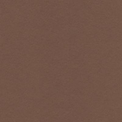 CARTULINA NETTUNO 50X65 140GRS Nº8 TABACCO