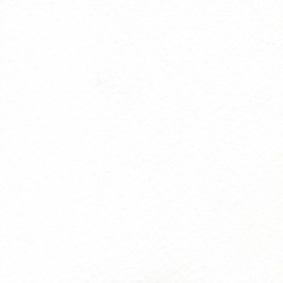 CARTULINA TIZIANO 50X65 160GRS Nº01 BLANCO