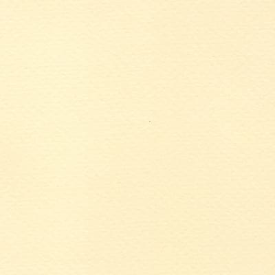 CARTULINA TIZIANO 50X65 160GRS Nº02 CREMA