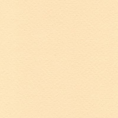 CARTULINA TIZIANO 50X65 160GRS Nº03 BANANA