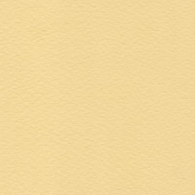 CARTULINA TIZIANO 50X65 160GRS Nº04 SAHARA