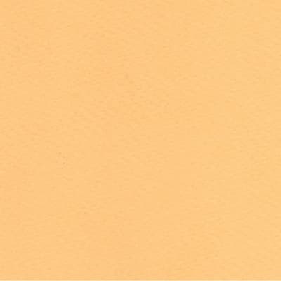 CARTULINA TIZIANO 50X65 160GRS Nº05 ZABAIONE