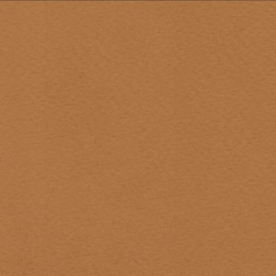 CARTULINA TIZIANO 50X65 160GRS Nº07 SIENA