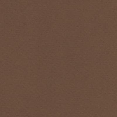 CARTULINA TIZIANO 50X65 160GRS Nº09 CAFE