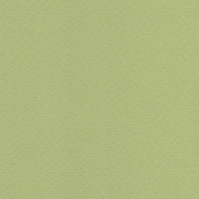 CARTULINA TIZIANO 50X65 160GRS Nº11 VERDUZZO