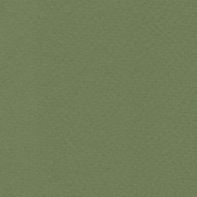 CARTULINA TIZIANO 50X65 160GRS Nº14 MUSCHIO