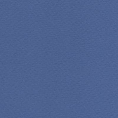 CARTULINA TIZIANO 50X65 160GRS Nº19 DANUBIO
