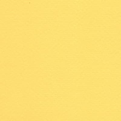 CARTULINA TIZIANO 50X65 160GRS Nº20 LIMONE
