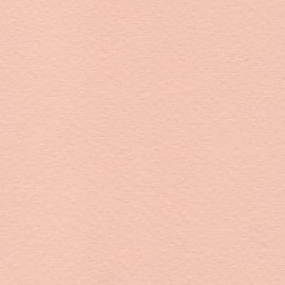 CARTULINA TIZIANO 50X65 160GRS Nº25 ROSA