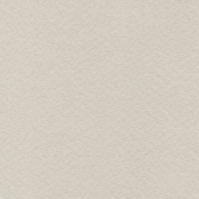 CARTULINA TIZIANO 50X65 160GRS Nº26 PERLA
