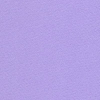 CARTULINA TIZIANO 50X65 160GRS Nº33 VIOLETA