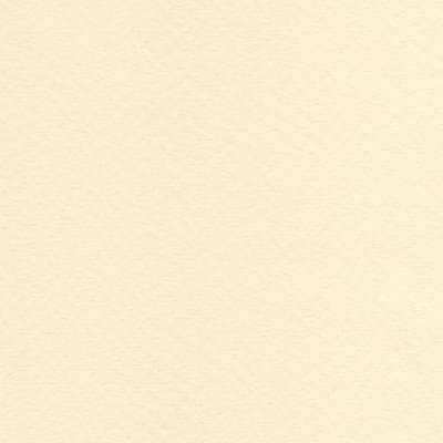 CARTULINA TIZIANO 50X65 160GRS Nº40 AVORIO