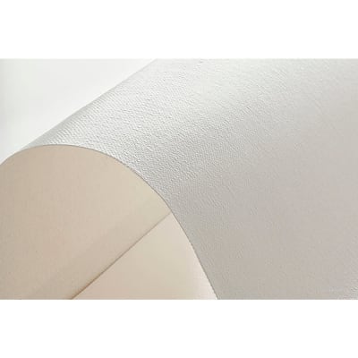 CARTULINA TELA CANVAS