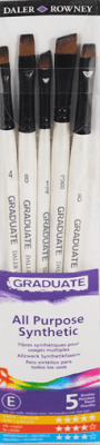 SET 5 PINCELES GRADUATE PLANO Y PLANO MEDIO DALER ROWNEY