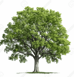 FIGURA ÁRBOL A ESCALA GRANDE (1UN)