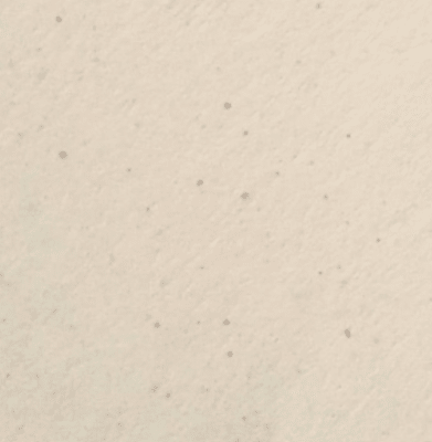 PAPEL RECICLADO CARTA AVORIO ALGA 90GRS 100 HOJAS