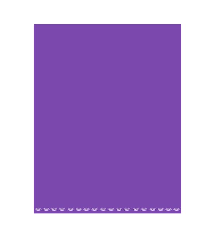 CARTULINA PINTADA 53X75CM VIOLETA (A-46) ARTEL1
