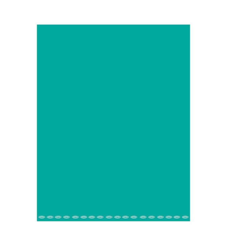CARTULINA PINTADA 53X75CM AZUL TURQUESA A-48 ARTEL1