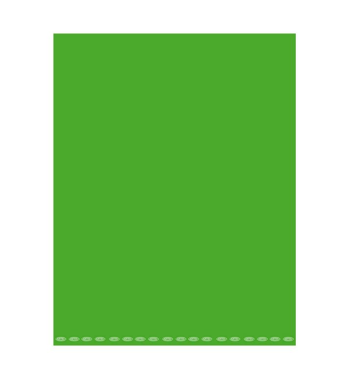 CARTULINA PINTADA 53X75CM VERDE CLARO A-51 ARTEL1