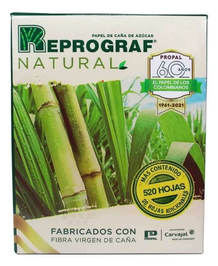 RESMA PAPEL RECICLADO NATURAL 75G CARTA 520HJ1