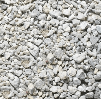 GRAVILLA GRUESA BLANCA1