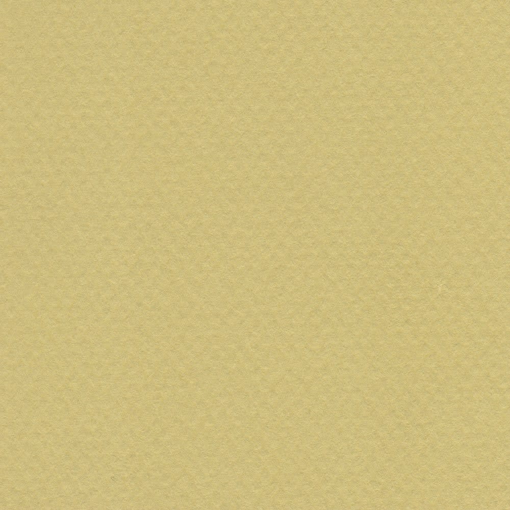 CARTULINA MI-TEINTES 160G (#107) ANÍS 50X60CM CANSON1